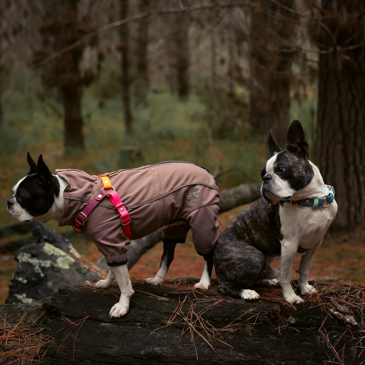 Straight front harness