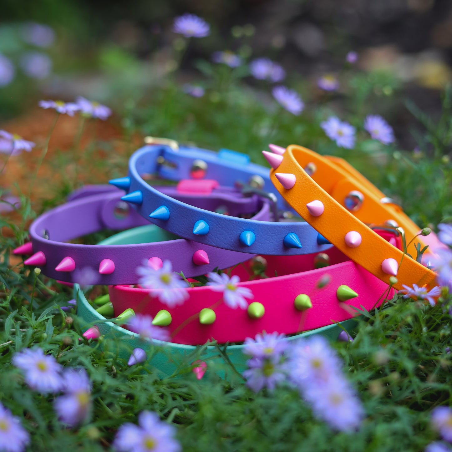 Custom BioThane spike collar