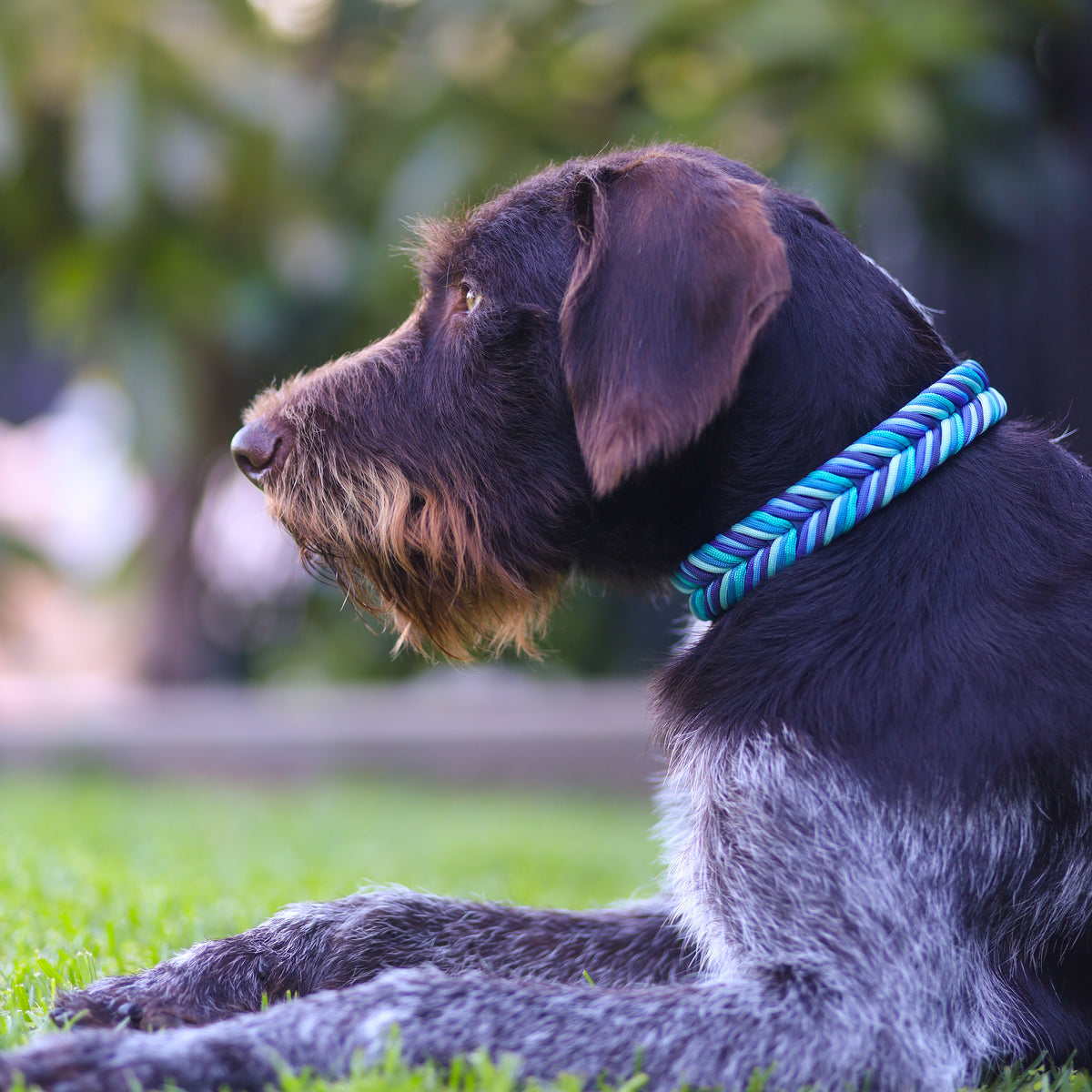 Chevron Braided BioThane® Dog Collar I Tides