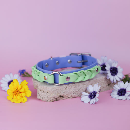 Custom Layered braided BioThane collar
