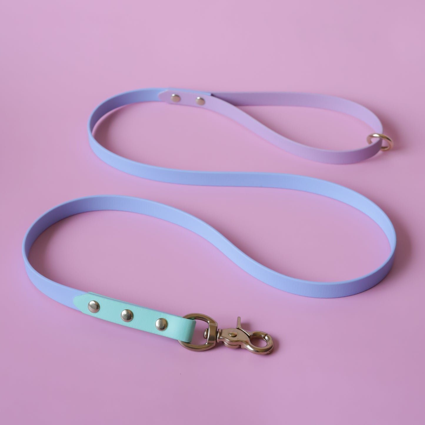 COLOUR VISUALIZER - two toned leash