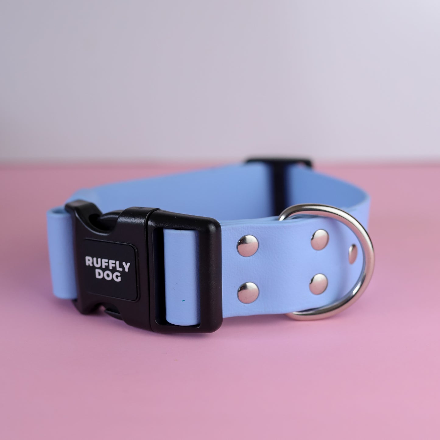 Sample sale 38mm adjustable collar polar Medium & Large