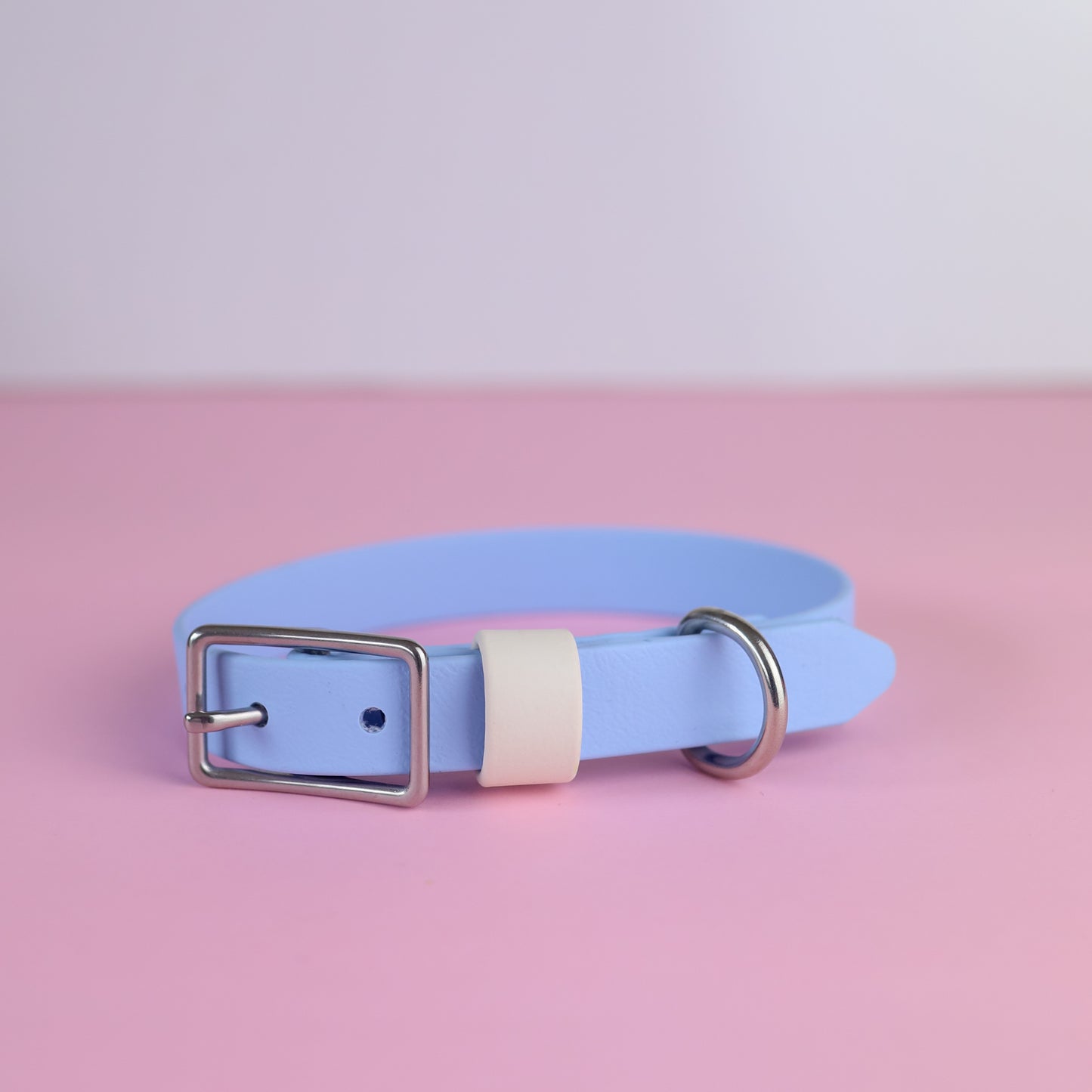 Sample sale 19mm flat collar polar & arctic wolf 31-37cm