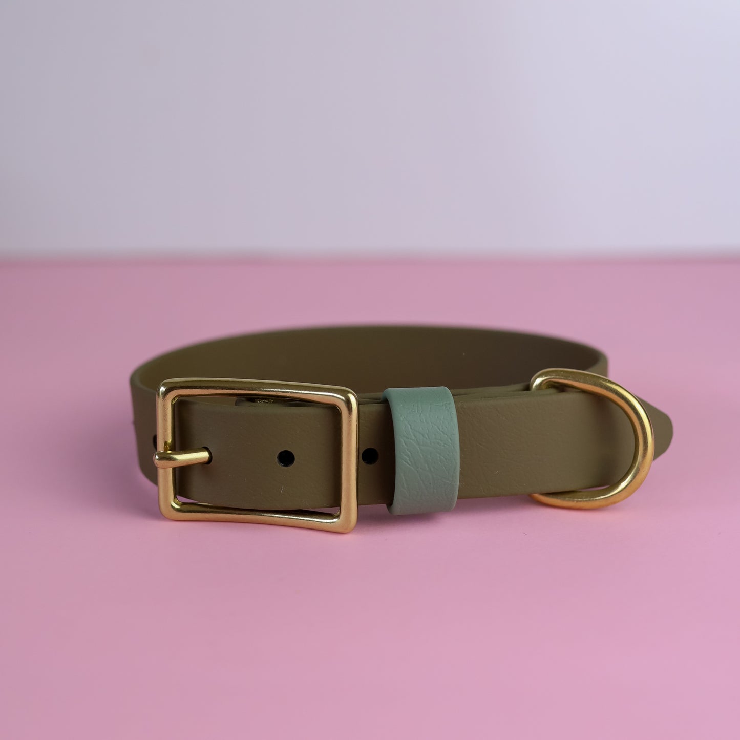 Sample sale 25mm flat collar olive & foggy green 33-39cm