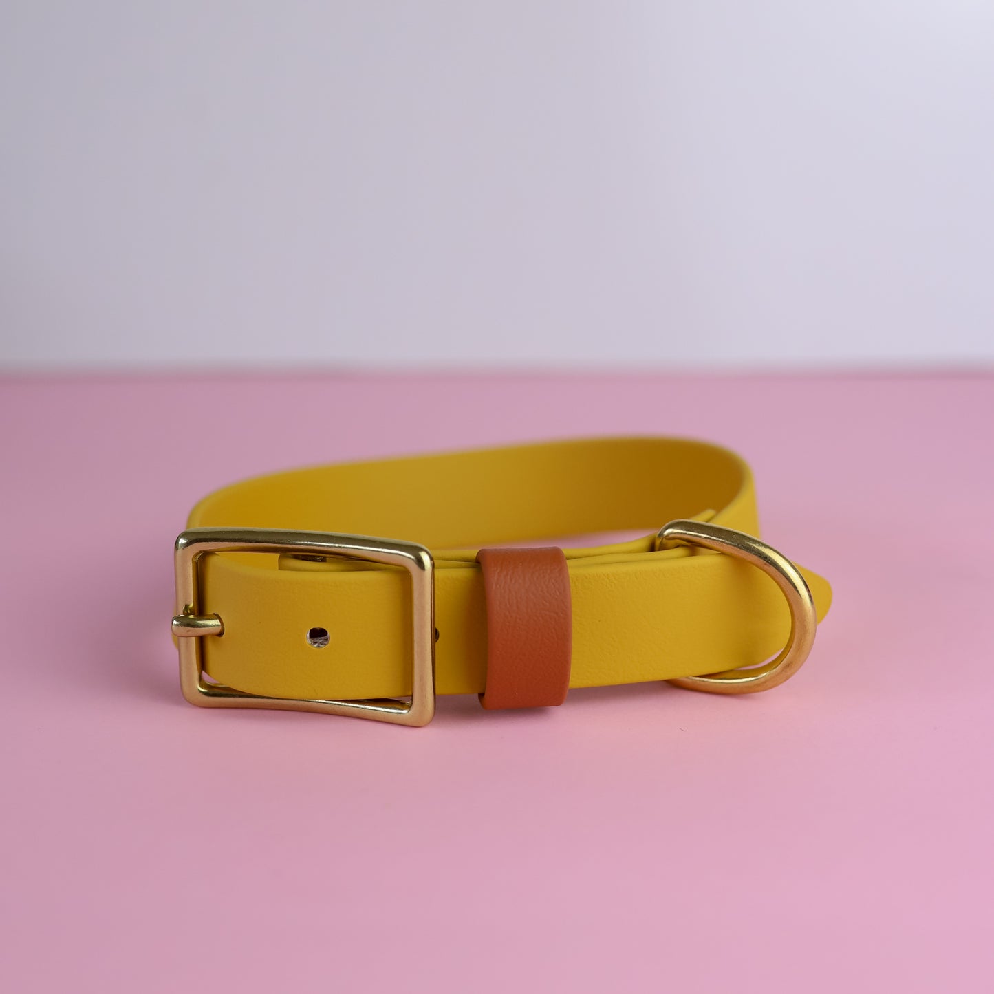 Sample sale 25mm flat collar mustard & caramel 33-39cm