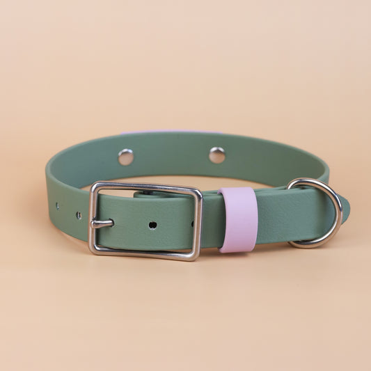 Custom Classic flat collar