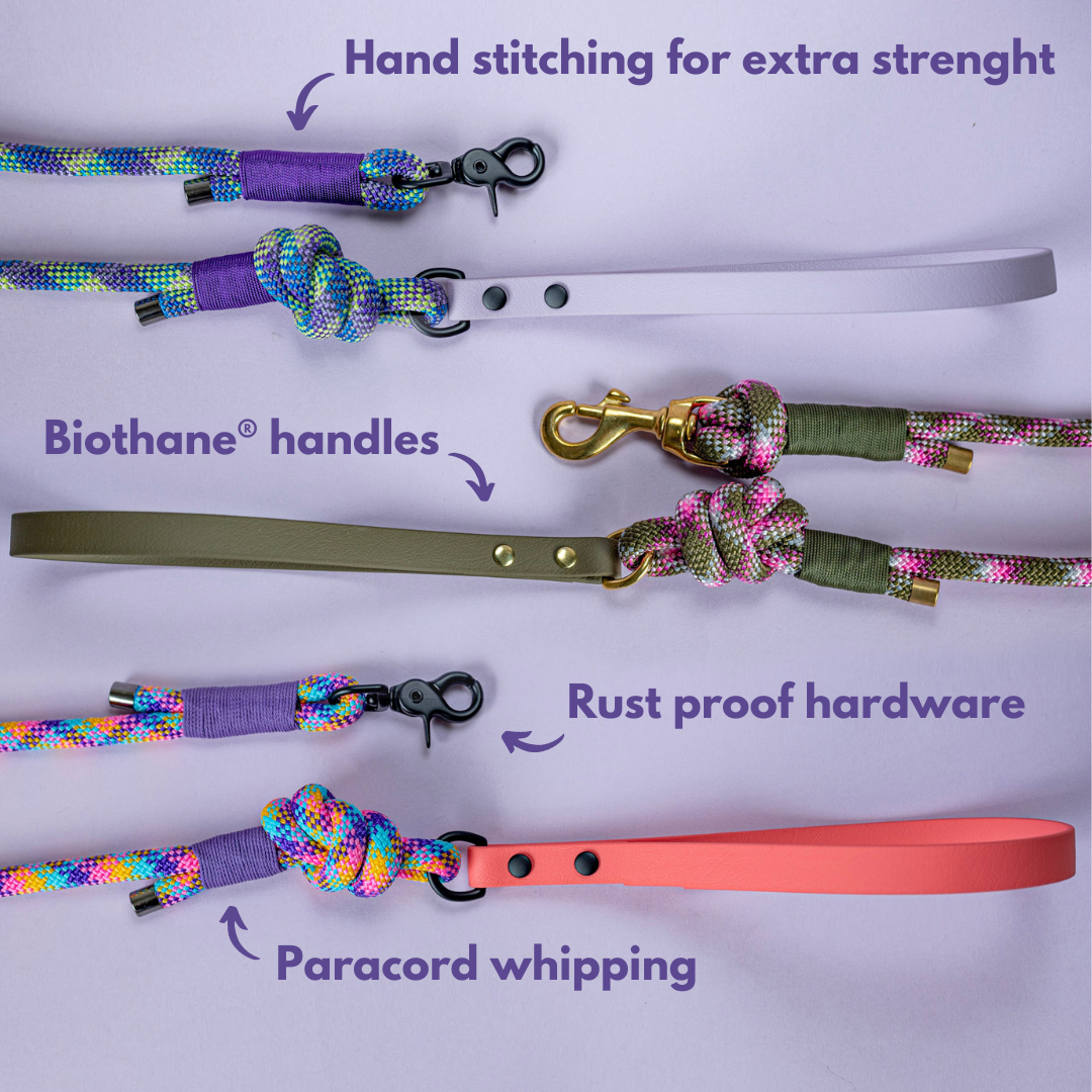 Rope leash with BioThane handle