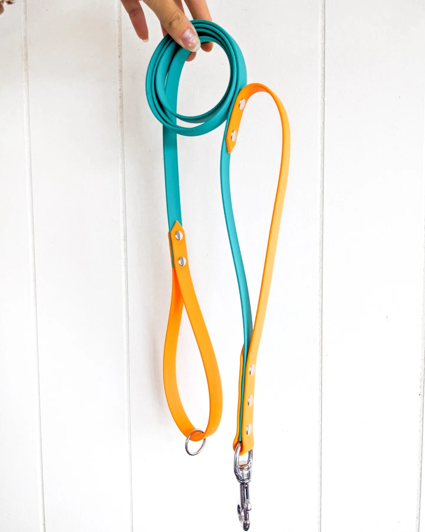 Two tone leash with traffic handle