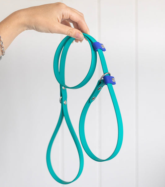 Custom Slip leash