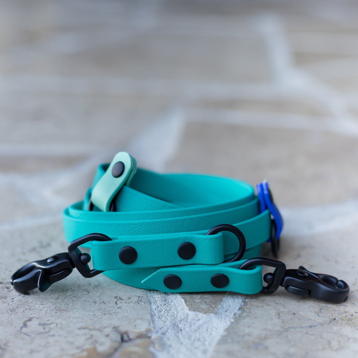 Custom Handsfree multi-function leash