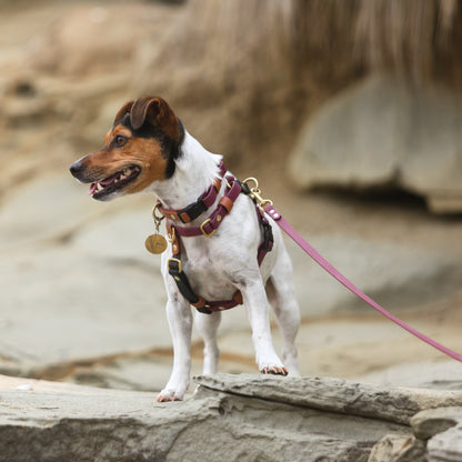 Adjustable waterproof harness