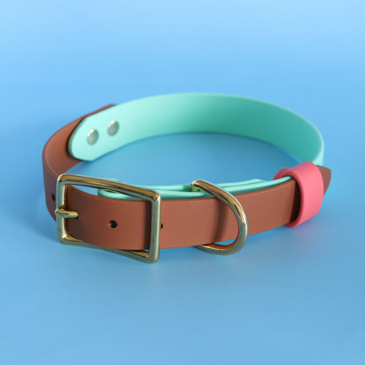 Waterproof two tone flat collar for Large dogs (25mm)