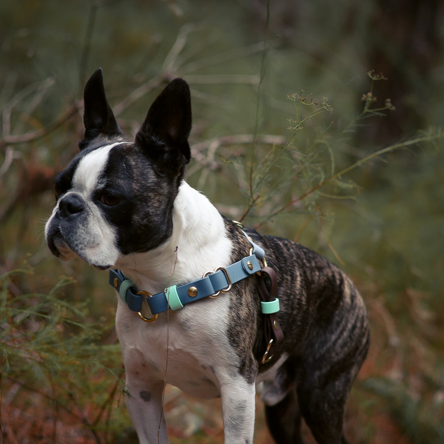 Straight front harness