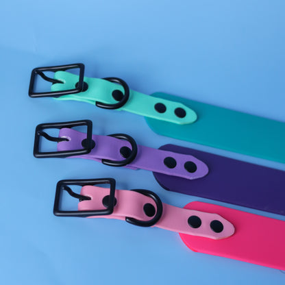 Hound collar - 38mm width
