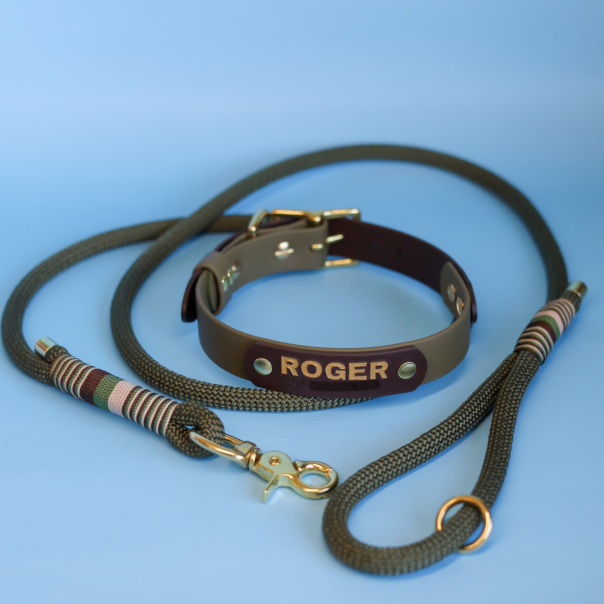 2-Color luxury dog collar with brass fittings – Waggy Pooch