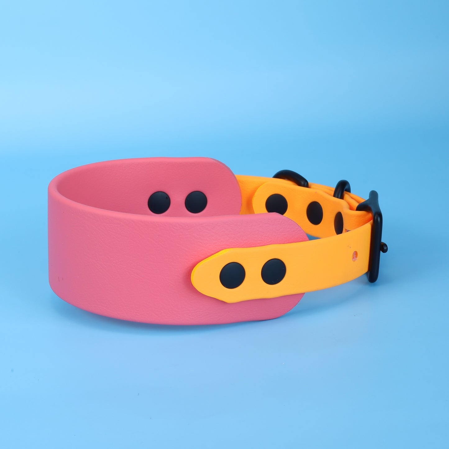 Hound collar - 38mm width