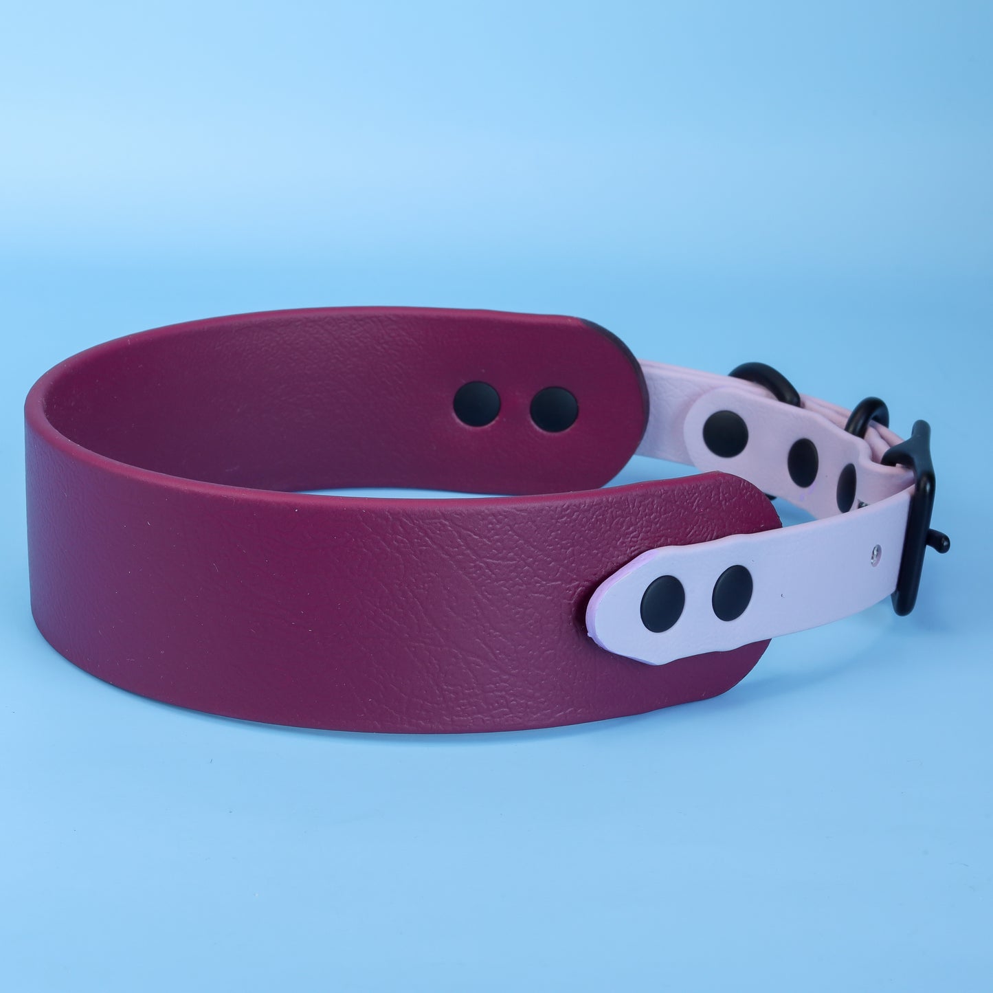 Hound collar - 38mm width