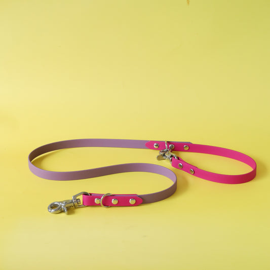 Guide dog leash - Two tones