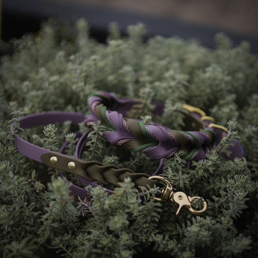 Enchanted forest Braided collar