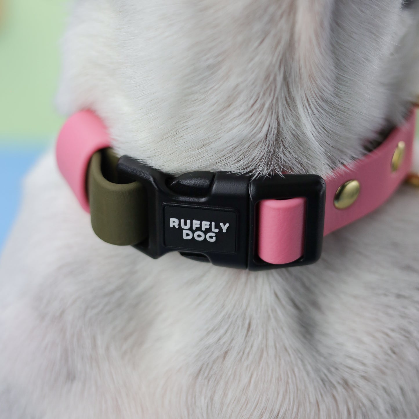 Adjustable collar with quick release buckle - two tones