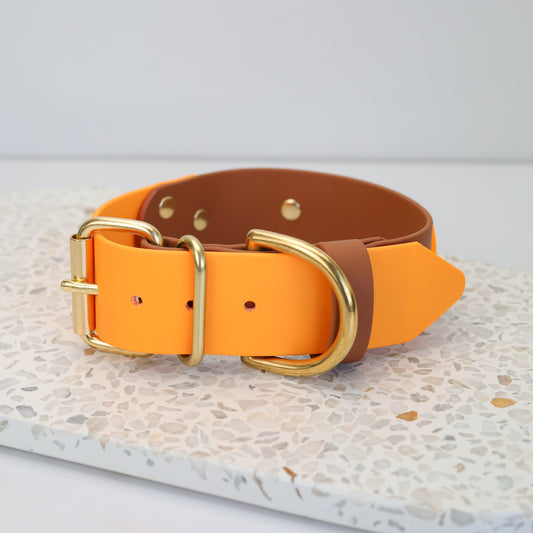 38mm BioThane flat collar - two tones