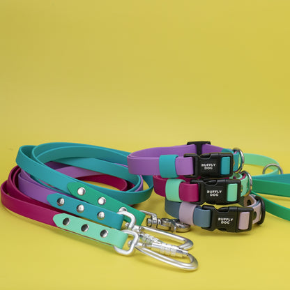 Adjustable collar with quick release buckle - two tones