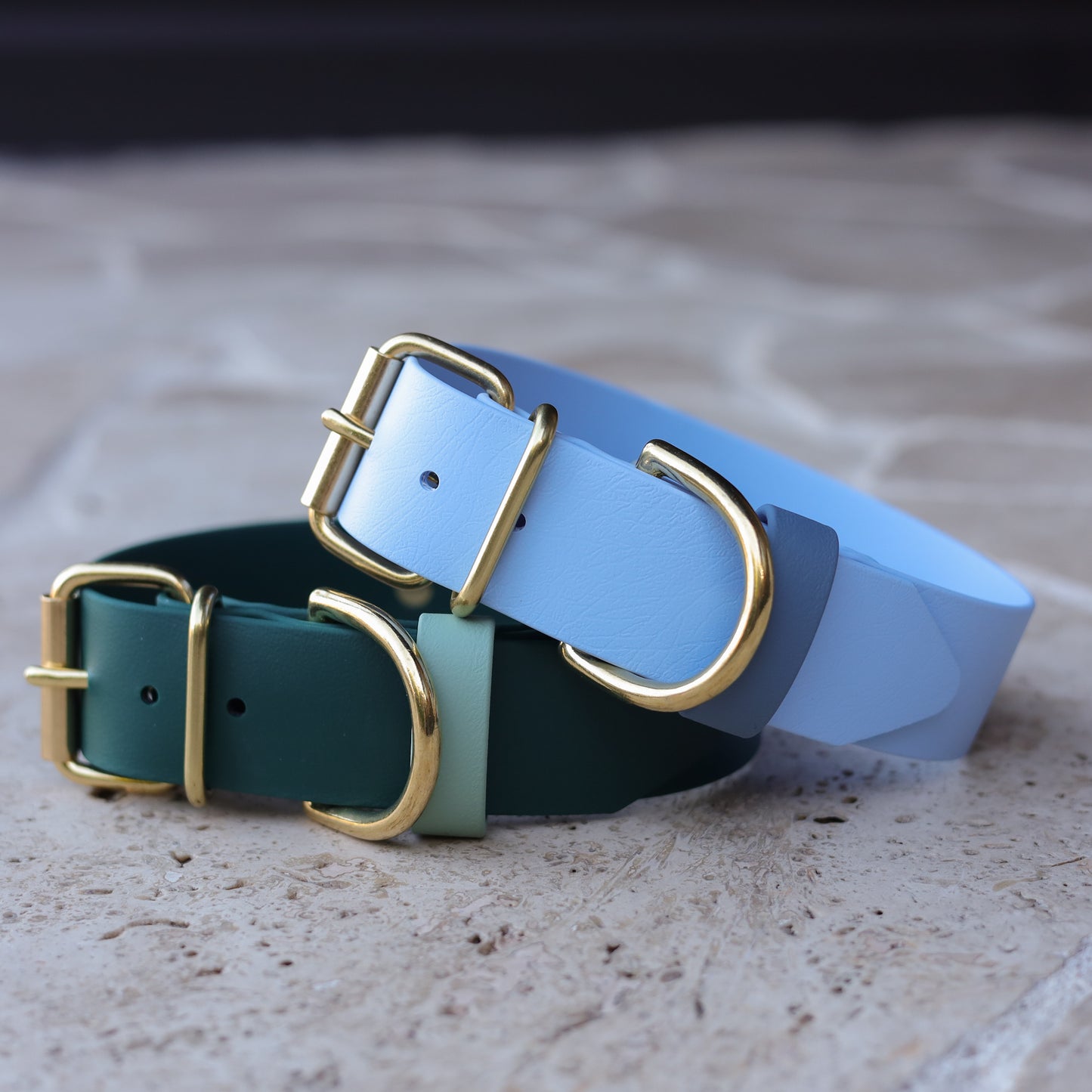 Custom 38mm BioThane flat collar - one tone