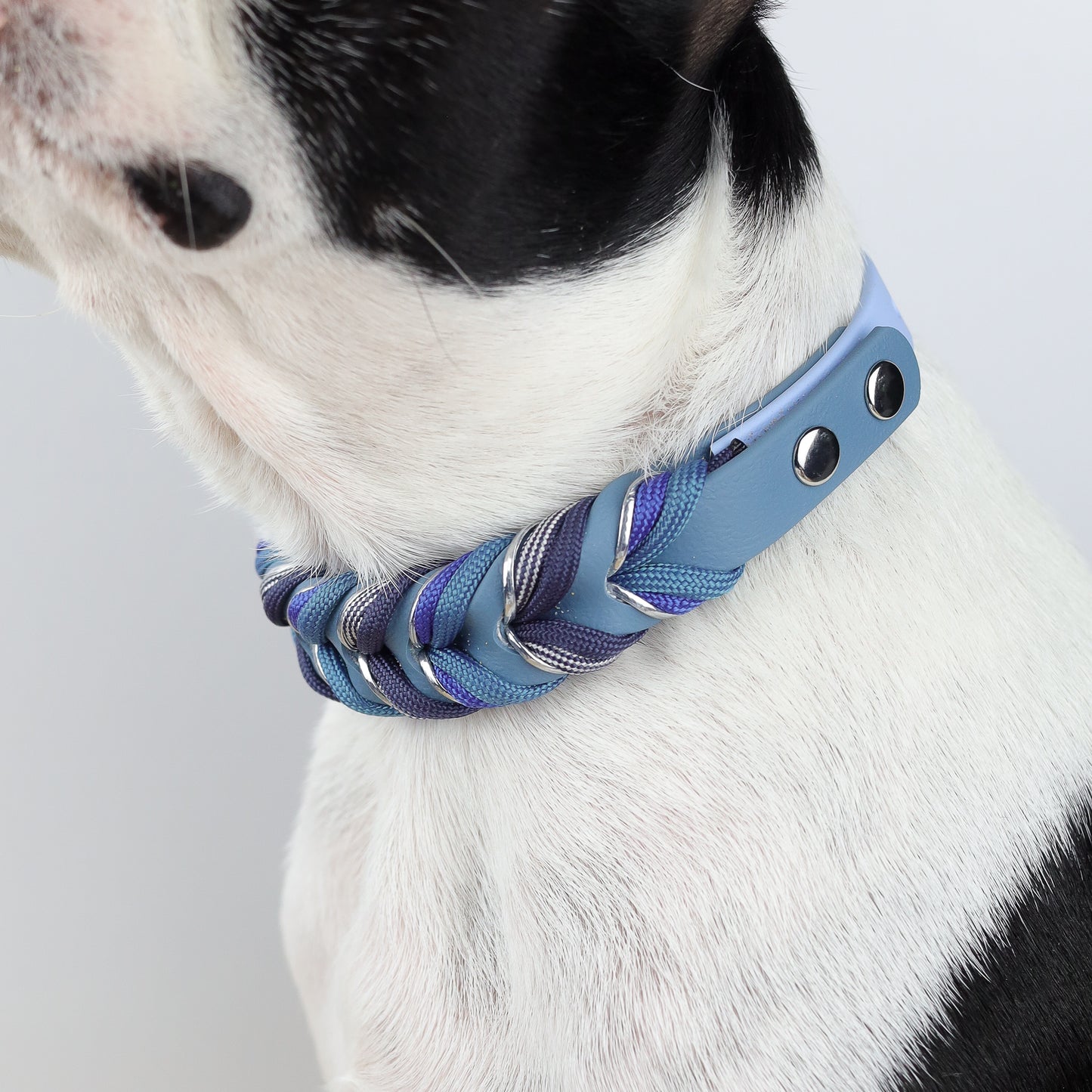 Kaamos Braided paracord collar