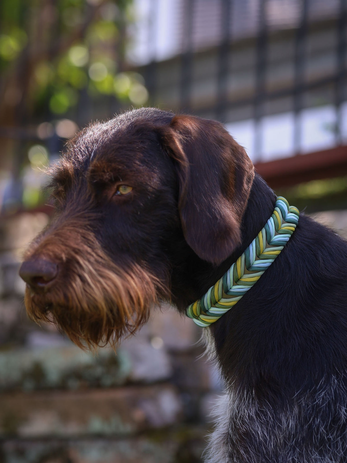 Chevron Braided BioThane® Dog Collar I Moss