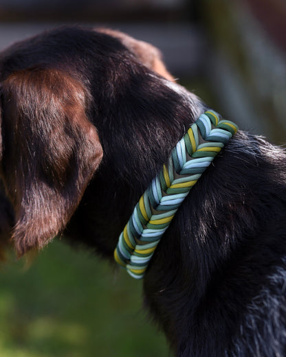 Chevron Braided BioThane® Dog Collar I Moss