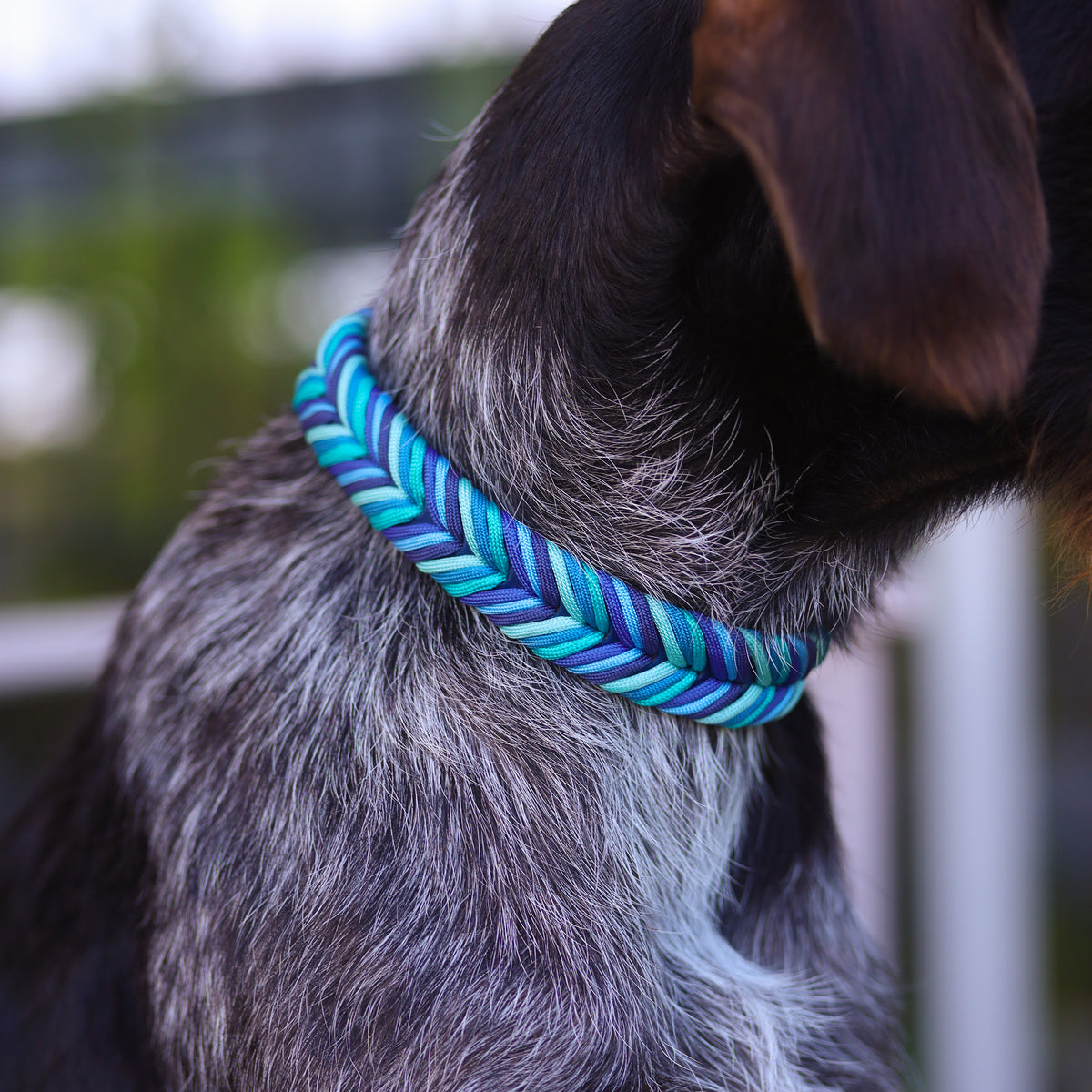Chevron Braided BioThane® Dog Collar I Tides