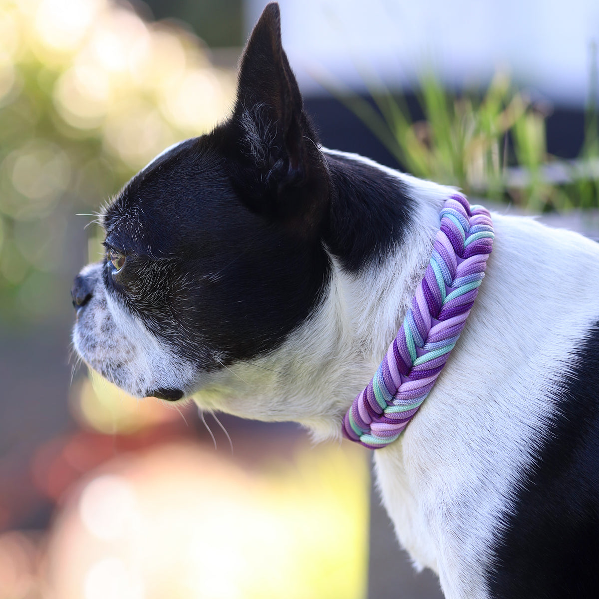 Chevron Braided BioThane® Dog Collar I Lavender