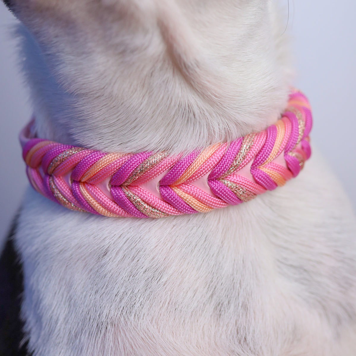 Chevron Braided BioThane® Dog Collar I Peony
