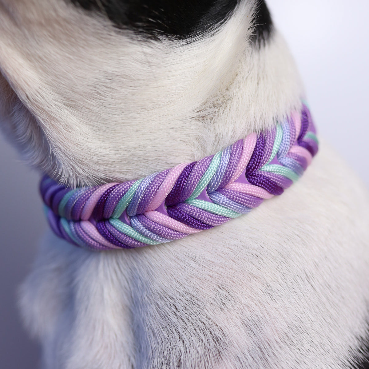 Chevron Braided BioThane® Dog Collar I Lavender