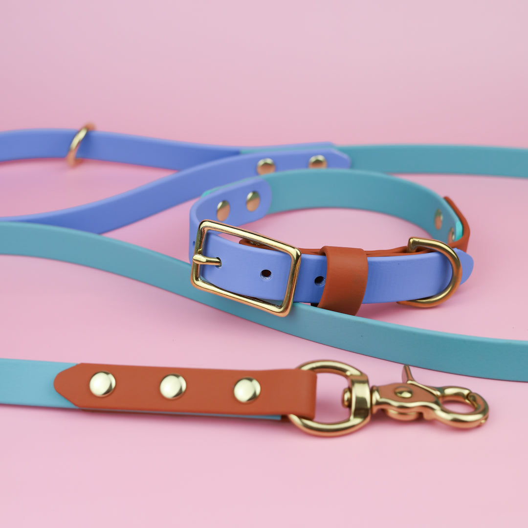 Classic flat collar - Tri colour