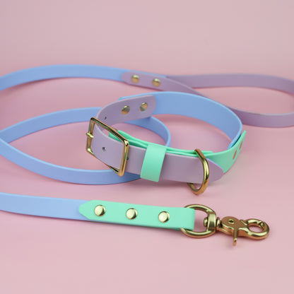 Classic flat collar - Tri colour