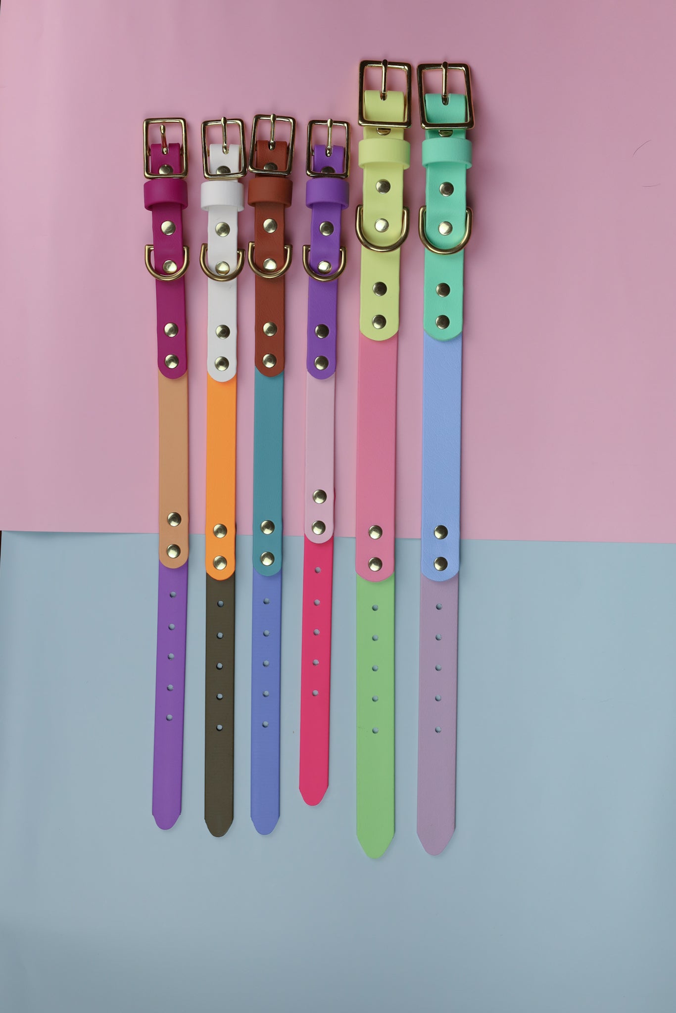Classic flat collar - Tri colour