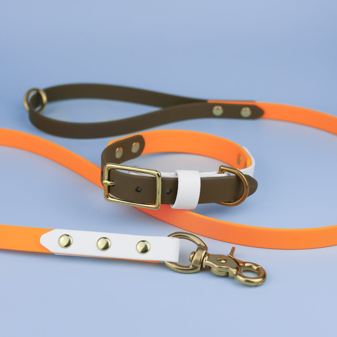 Classic flat collar - Tri colour