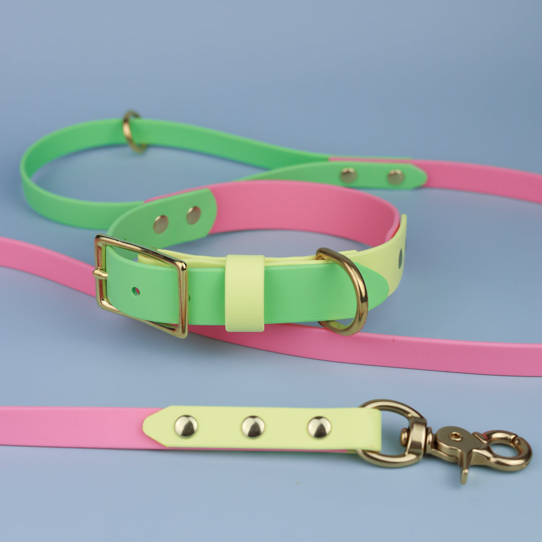 Classic flat collar - Tri colour
