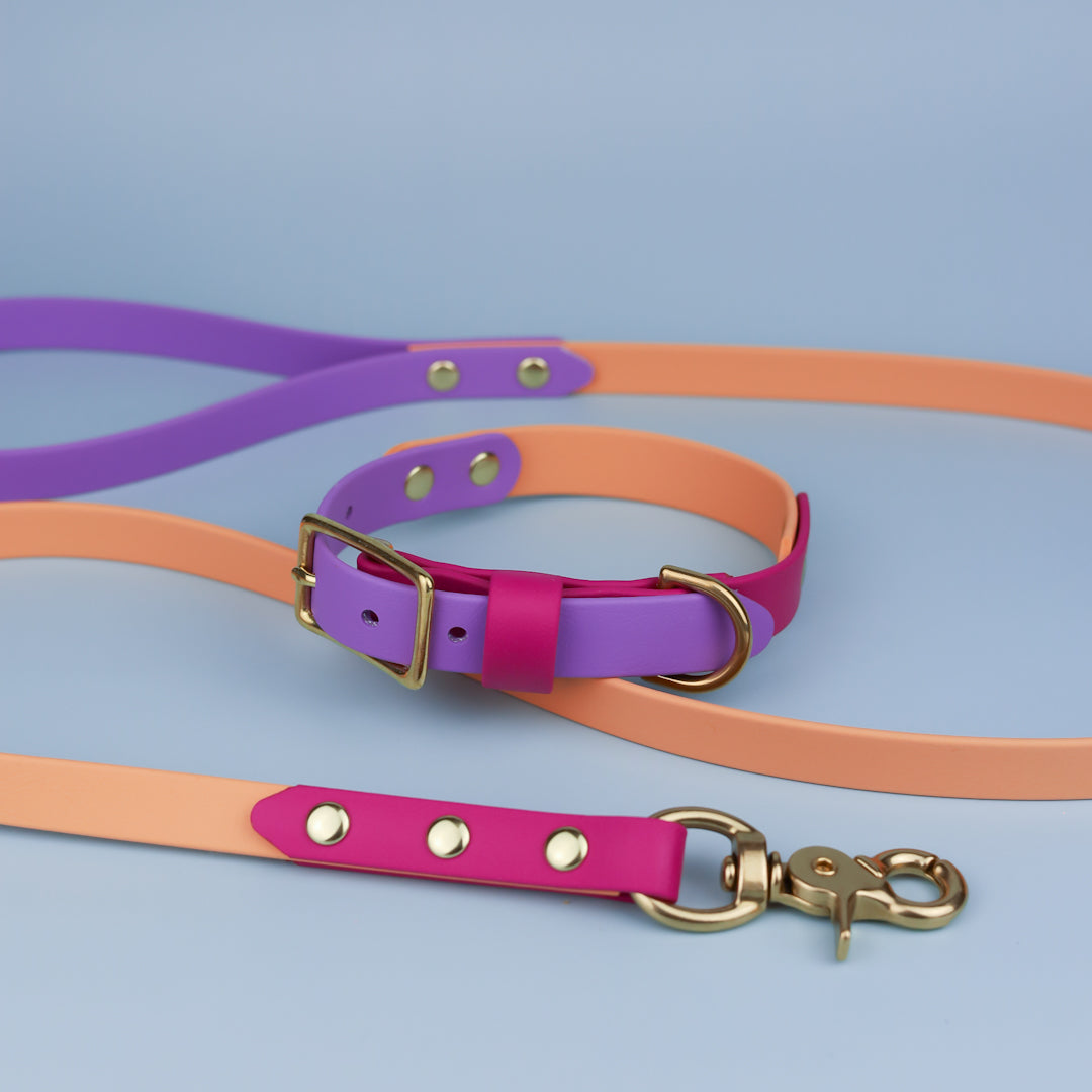 Classic flat collar - Tri colour