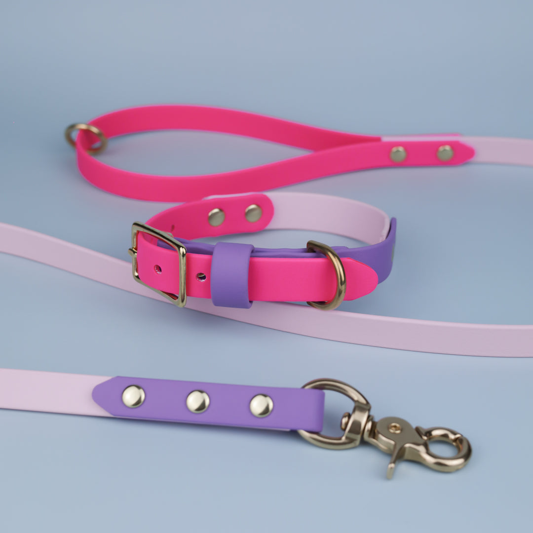 Classic flat collar - Tri colour