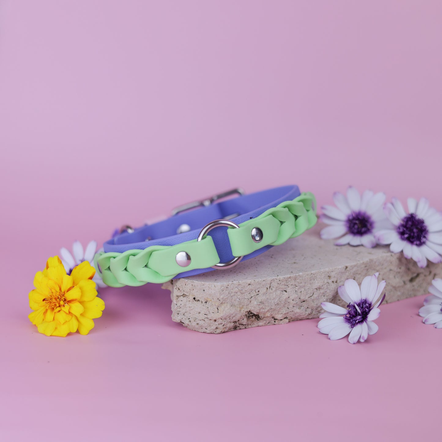 Layered braided BioThane collar