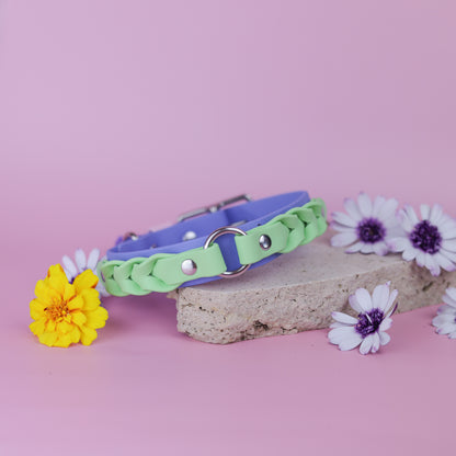 Layered braided BioThane collar