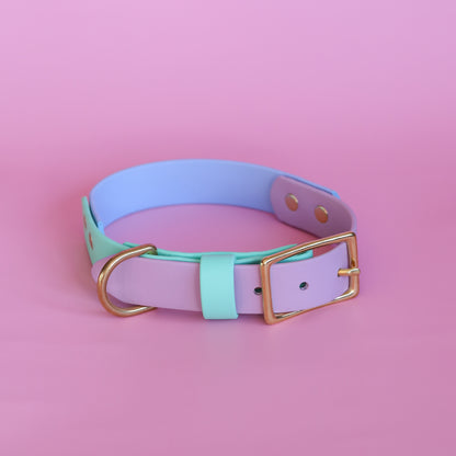 Classic flat collar - Tri colour