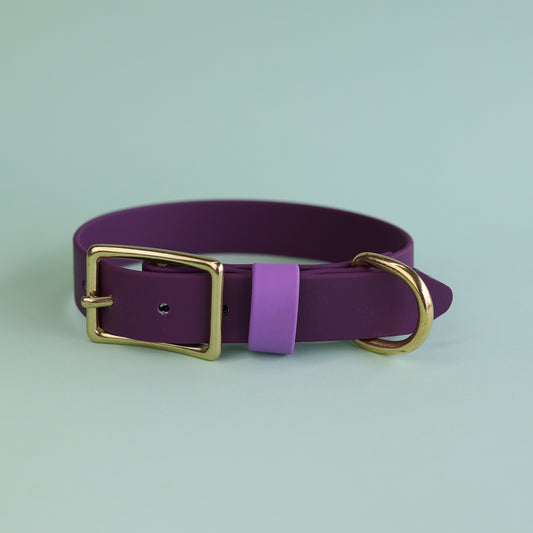 Premade flat collar - Eggplant