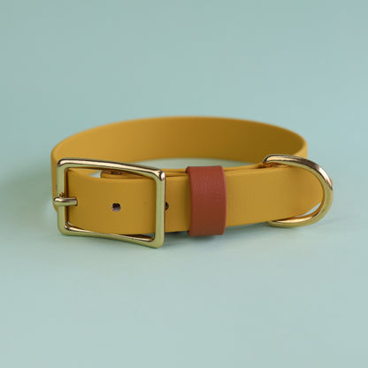 Premade flat collar - Mustard