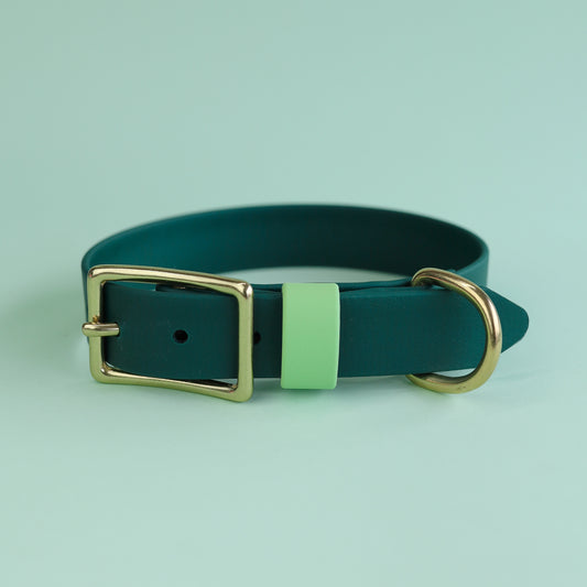 Premade flat collar - Green