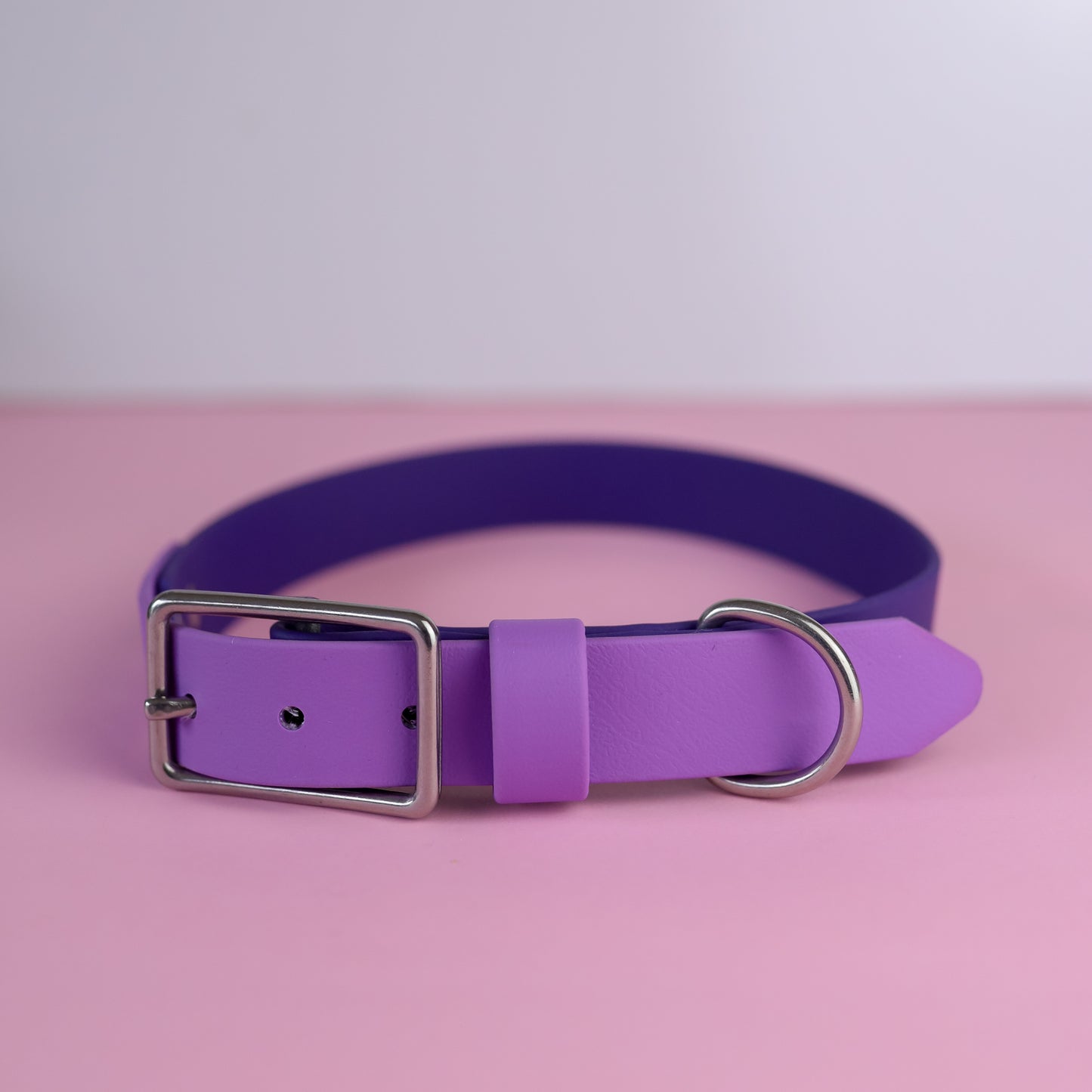 Sample sale 25mm flat collar purple & amethyst 49-55cm