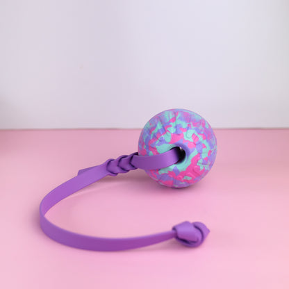 EVA foam ball with BioThane handle