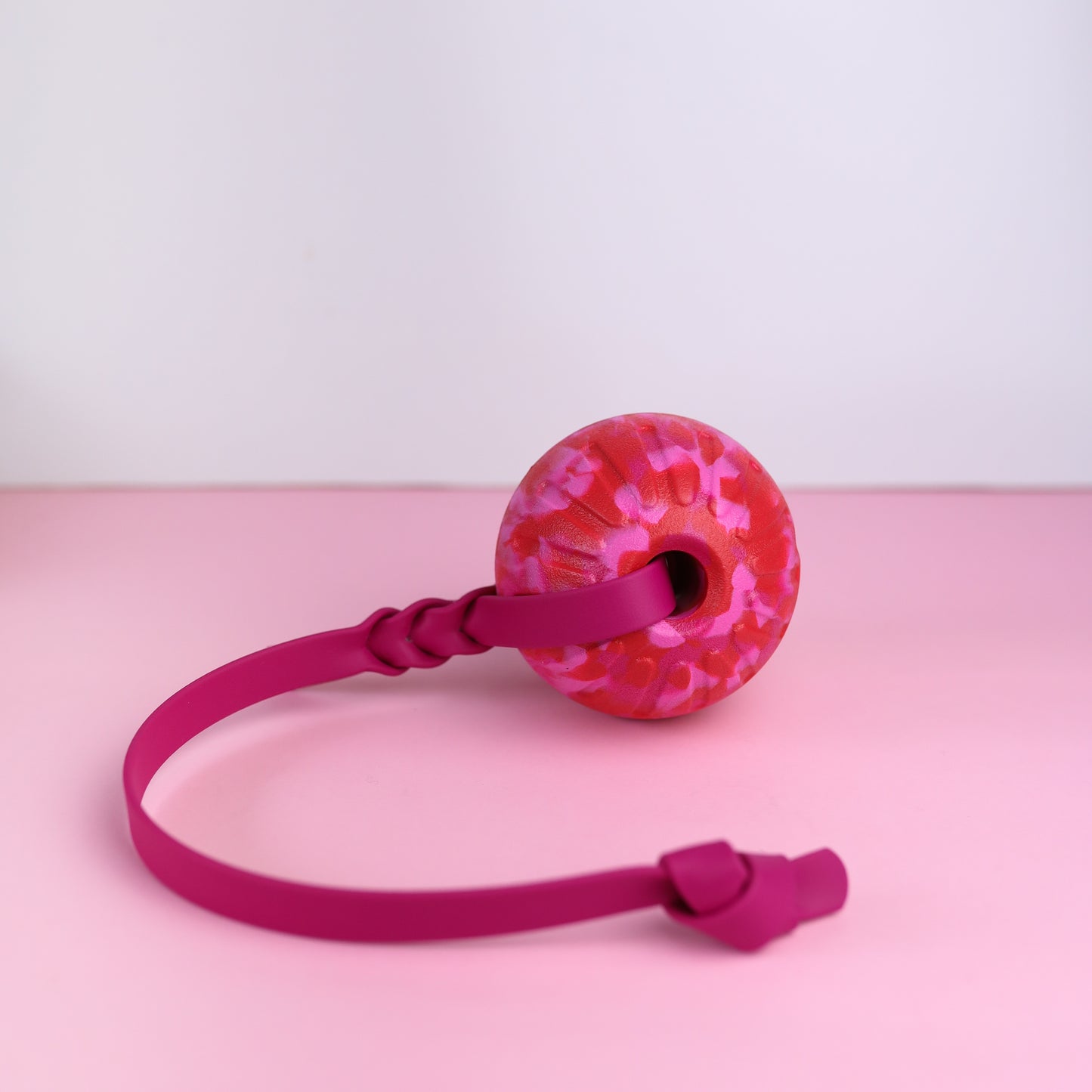 EVA foam ball with BioThane handle